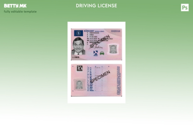 Модерен стил шведска возачка дозвола присутен шаблон